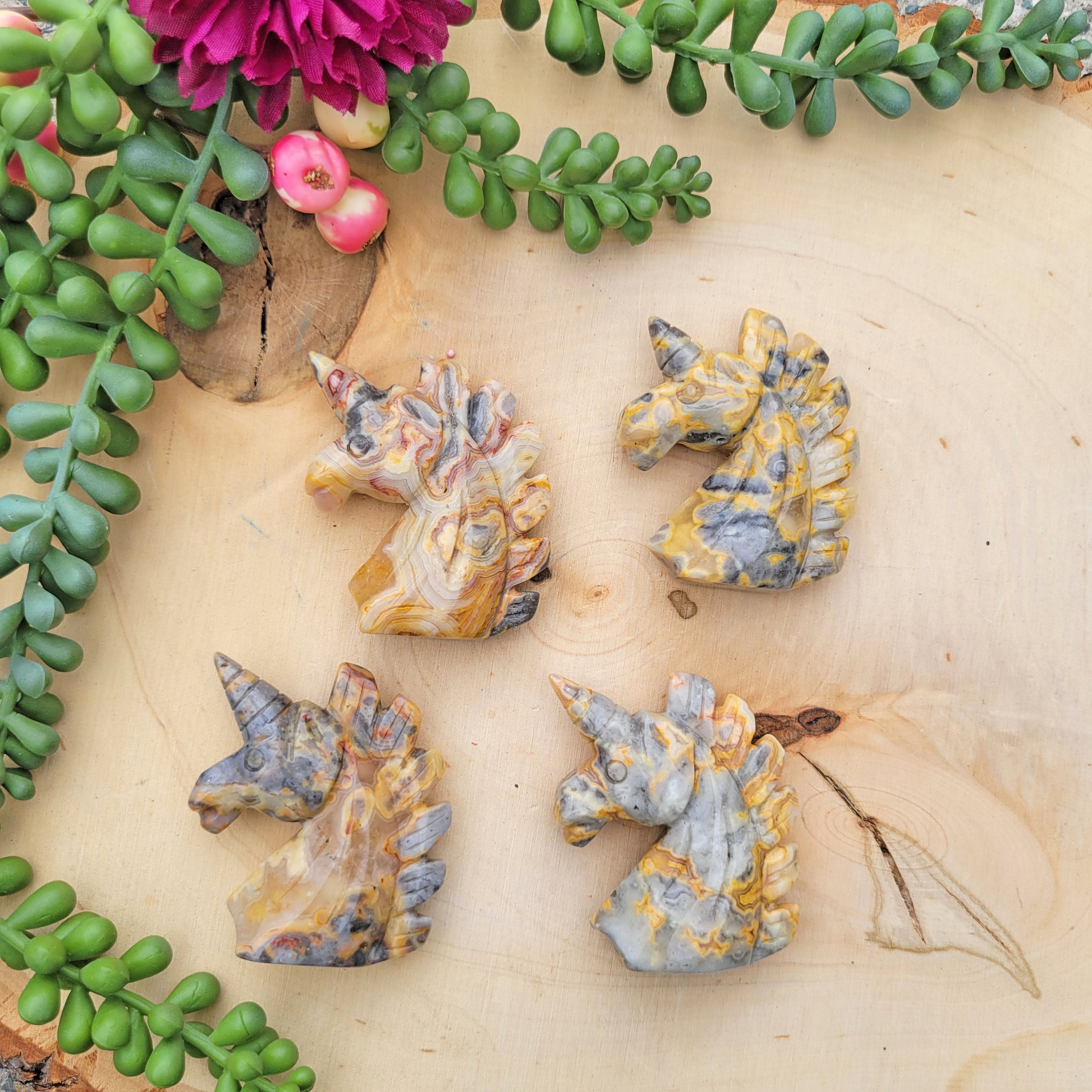 Crazy Lace Agate Unicorn Crystal Carving – Brooke LeAnne