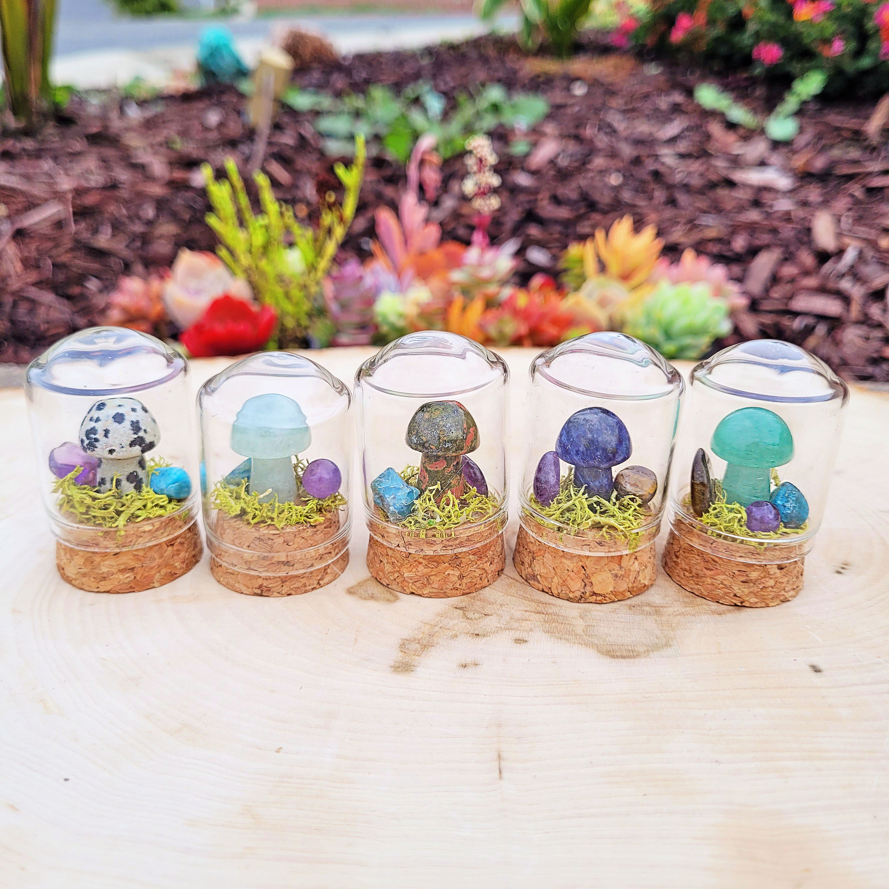 Mushroom Crystal Terrarium Brooke LeAnne