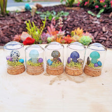 Load image into Gallery viewer, Mushroom Crystal Terrarium | Brooke LeAnne