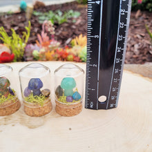 Load image into Gallery viewer, Mushroom Crystal Terrarium | Brooke LeAnne