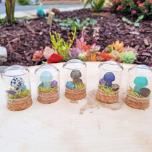 Load image into Gallery viewer, Mushroom Crystal Terrarium | Brooke LeAnne