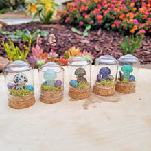 Load image into Gallery viewer, Mushroom Crystal Terrarium | Brooke LeAnne