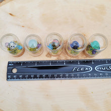 Load image into Gallery viewer, Mushroom Crystal Terrarium | Brooke LeAnne