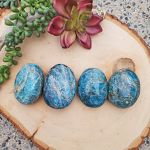 Load image into Gallery viewer, Blue Apatite | Large Palm Stone 115-120g
