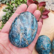 Load image into Gallery viewer, Blue Apatite | Large Palm Stone 115-120g
