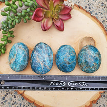 Load image into Gallery viewer, Blue Apatite | Large Palm Stone 115-120g

